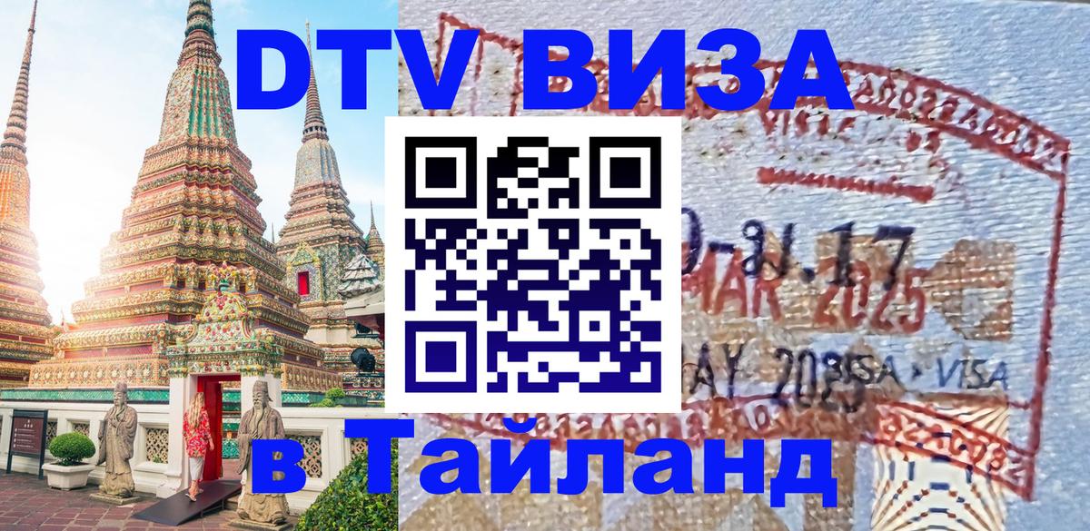 Оформление DTV визы под ключ: стоимость и тарифы, только загранпаспорт - Каспийск  21.11.2025 